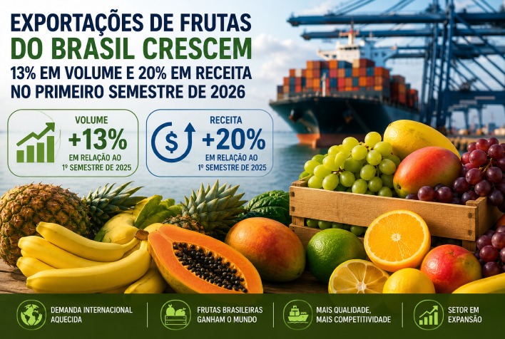 Exportações de frutas do Brasil crescem 13% em volume e 20% em receita em 2026