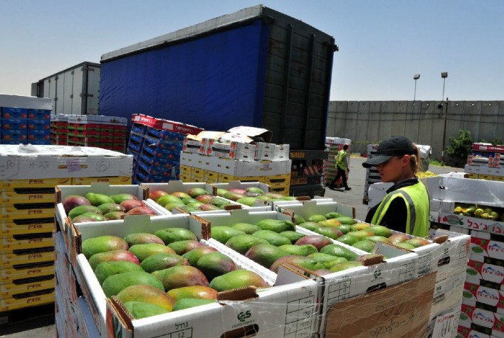 Exportações de frutas do Brasil crescem 20% e consolidam fruticultura no agronegócio