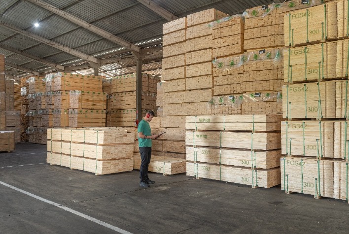 Exportações de madeira brasileira caem 8% no primeiro semestre de 2026
