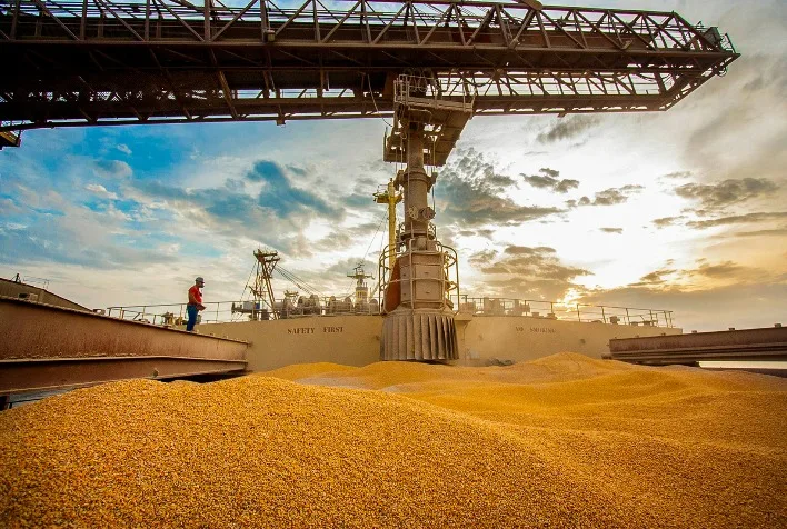 Exportações de milho do Brasil crescem 11,9% na safra 2024/25, com Mato Grosso em destaque