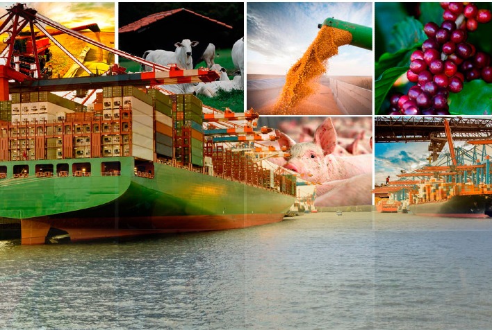 Exportações do agronegócio brasileiro para o Golfo crescem 1,25% em junho