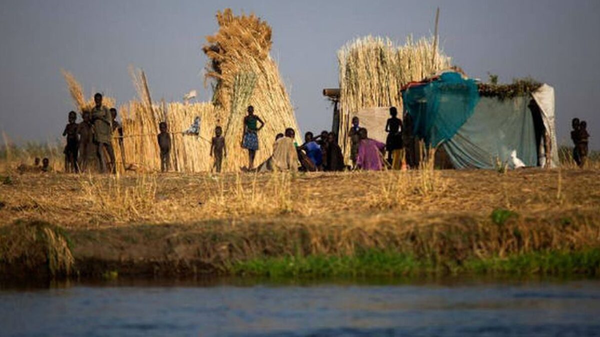 Fome mundial atinge 645 milhões em 2025, revela relatório da ONU