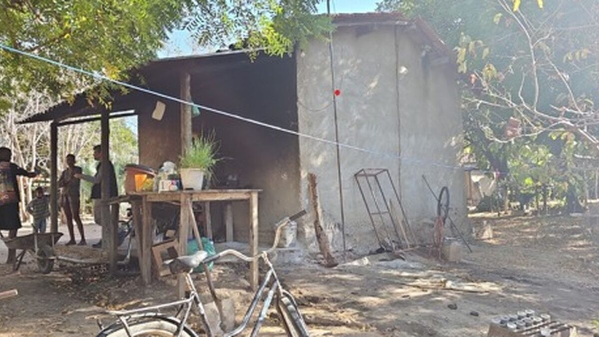Força-tarefa resgata 89 trabalhadores em condições degradantes na colheita de café em Minas Gerais