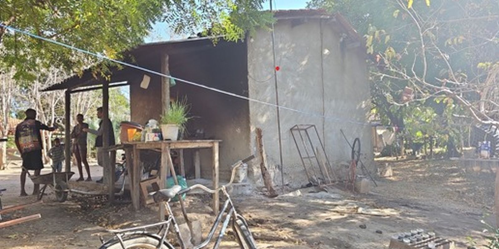 Força-tarefa resgata 89 trabalhadores em condições degradantes na colheita de café em Minas Gerais
