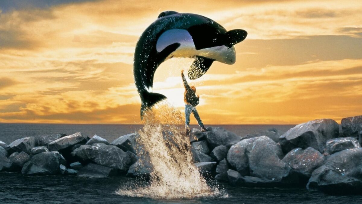Free Willy ganha nova versão com produção dos irmãos Russo para a Warner Bros.