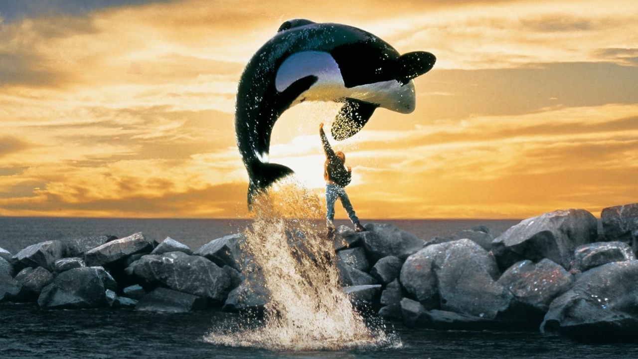 Free Willy ganha nova versão com produção dos irmãos Russo para a Warner Bros.