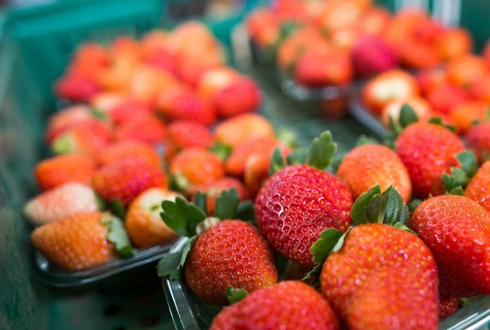 Fruticultura do Paraná gera R$ 4,3 bilhões em 2025, com citricultura em destaque