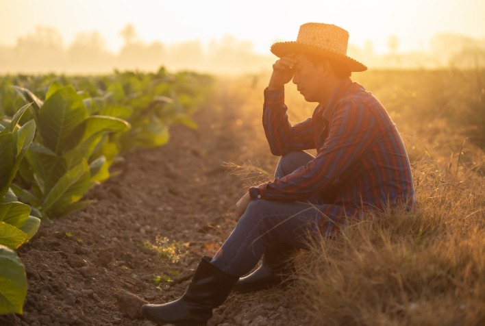 Inadimplência rural atinge recorde de 8,8% e MP de renegociação oferece nova chance aos produtores