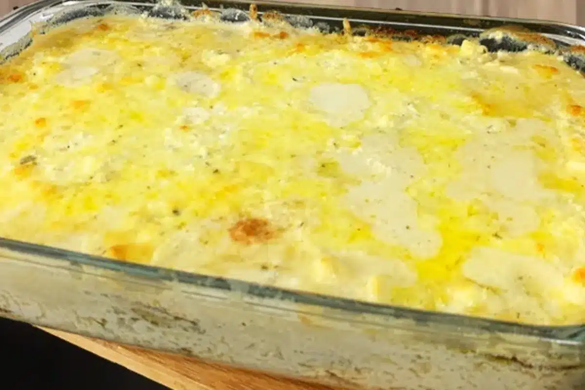 Lasanha de abobrinha com queijo derretido: uma receita irresistível para o jantar