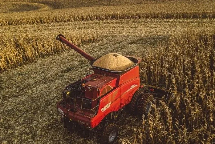Manutenção preventiva na colheita do milho garante eficiência e reduz perdas no campo