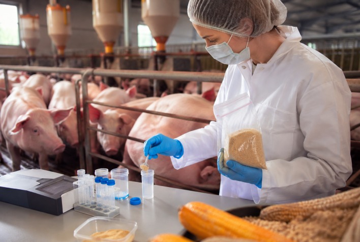 Micotoxinas e vigilância analítica serão temas centrais no SBSS 2026 em Chapecó
