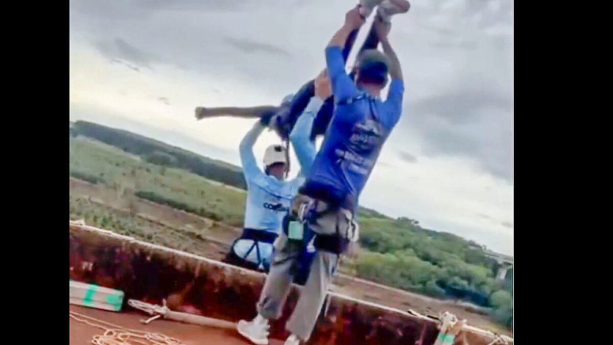 Ministério Público de SP denuncia quatro por morte de jovem em salto de ponte