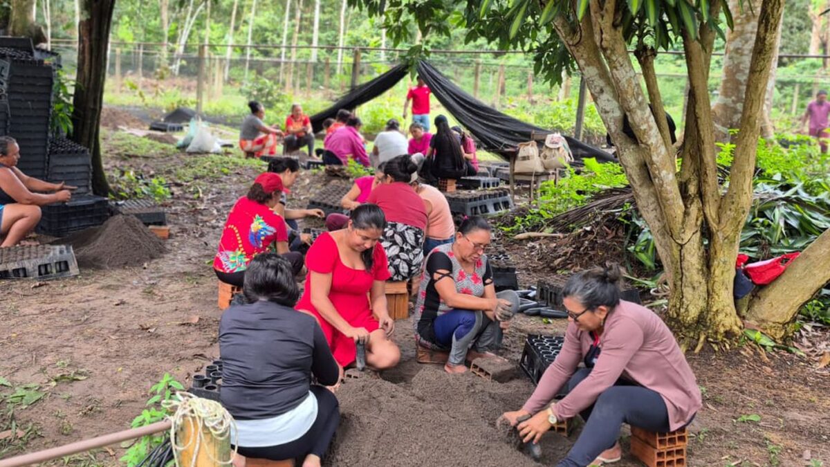 Mulheres da Amazônia se organizam para enfrentar mudanças climáticas e proteger territórios