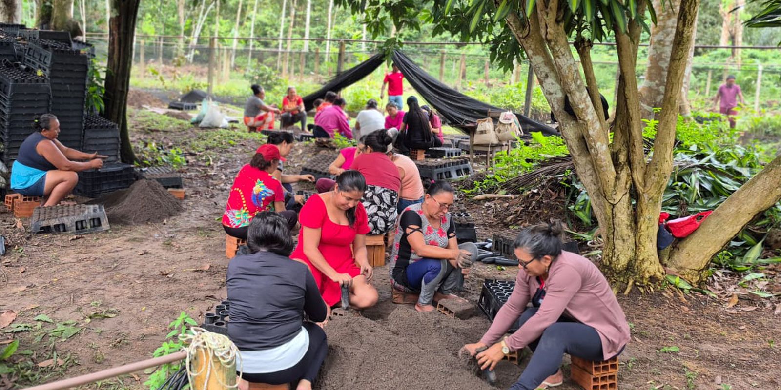 Mulheres da Amazônia se organizam para enfrentar mudanças climáticas e proteger territórios