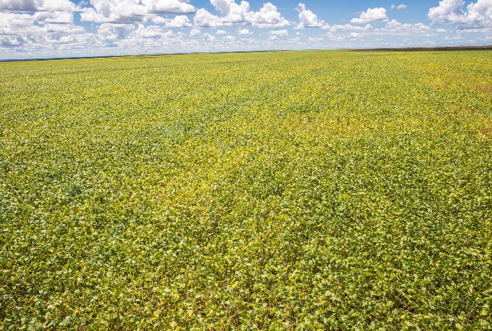 Novas regras de crédito rural entram em vigor e garantem direitos aos produtores