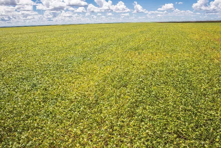 Novas regras de crédito rural entram em vigor e garantem direitos aos produtores