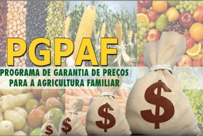 PGPAF divulga novos bônus para agricultores familiares; confira os produtos de julho