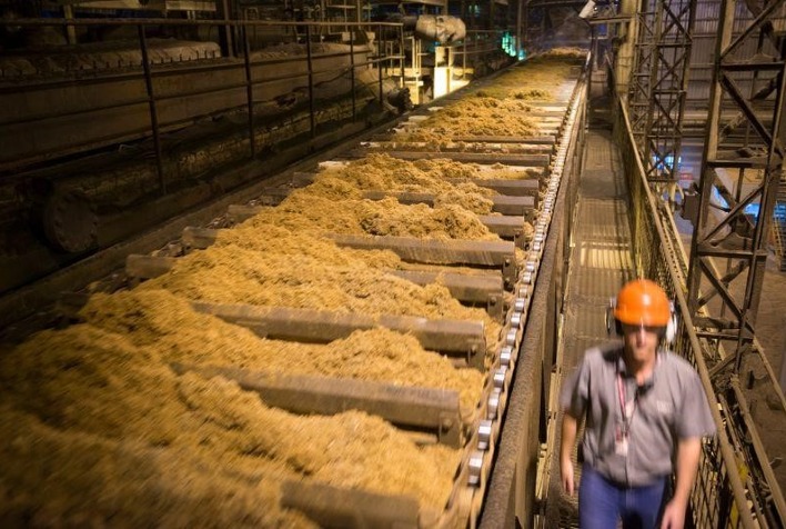Parada de 12 horas na moagem de cana pode causar prejuízo de R$ 1,22 milhão