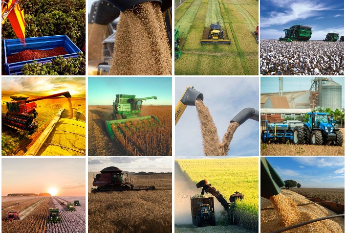 Paraná registra safra de verão recorde de 26,3 milhões de toneladas e mira novo histórico no agro