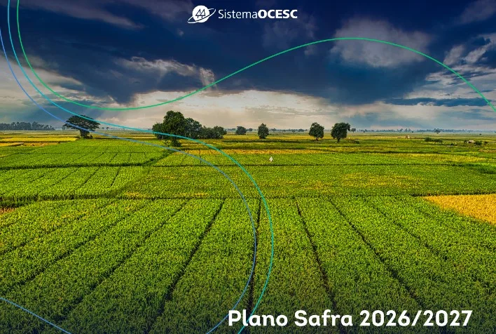 Plano Safra 2026/2027 traz R$ 610,3 bilhões, mas cooperativas alertam para desafios