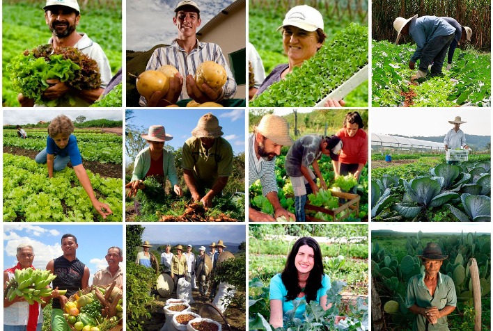 Plano Safra da Agricultura Familiar: R$ 85,2 bilhões enfrentam barreiras para chegar ao campo