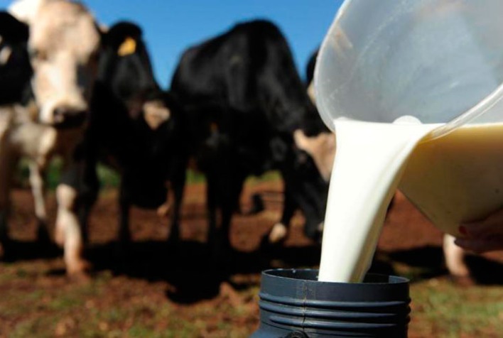 Preço do leite ao produtor se estabiliza, mas exportações caem e mercado pressiona