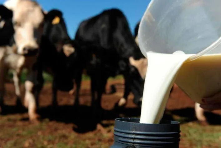 Preço do leite ao produtor se estabiliza, mas exportações caem e mercado pressiona