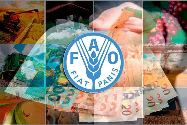 Preços globais de alimentos caem em junho com recuo de açúcar, cereais e lácteos, diz FAO