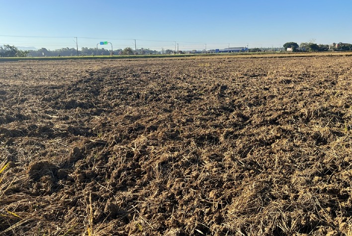 Preparação do solo avança em Santa Catarina para garantir safra de arroz 2026/27
