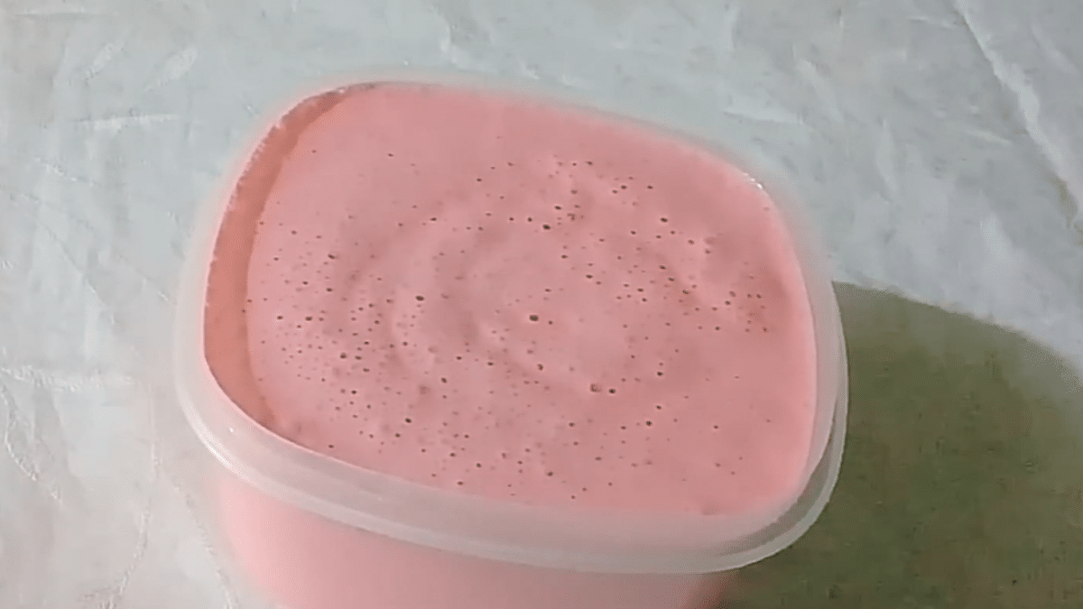 Prepare uma sobremesa refrescante com apenas 2 ingredientes e sem complicação