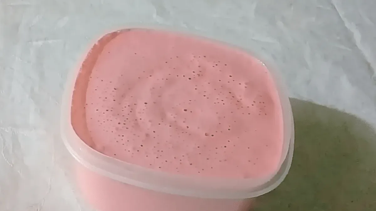 Prepare uma sobremesa refrescante com apenas 2 ingredientes e sem complicação