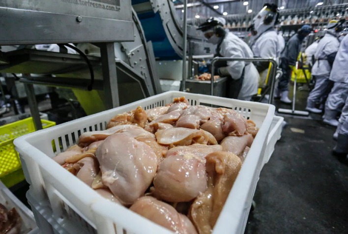 Produção de carne de frango no Brasil deve chegar a 15,945 milhões de toneladas em 2027
