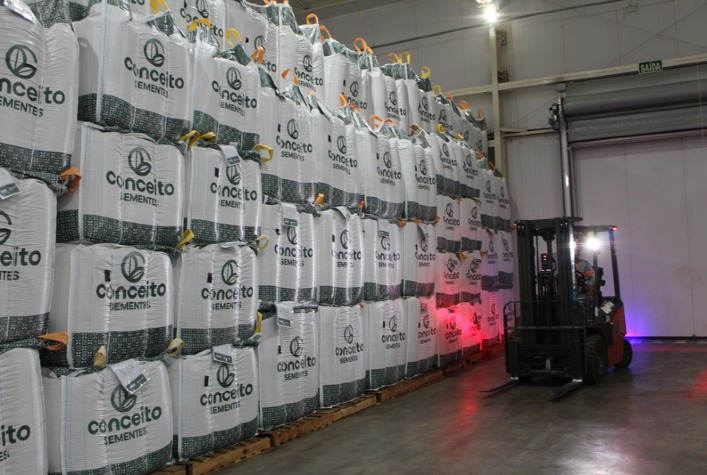 Qualidade da semente de soja: beneficiamento e armazenagem são essenciais para produtividade