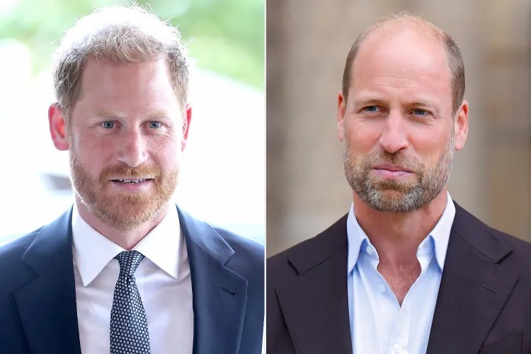Reencontro com Rei Charles traz esperança, mas relação entre Harry e William permanece rompida