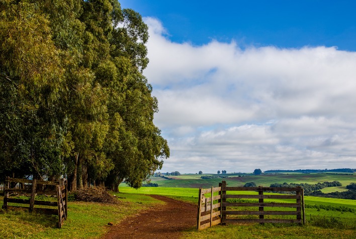 SLC Agrícola adquire 8,9 mil hectares no Mato Grosso por R$ 669 milhões