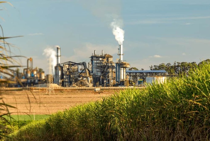 Safra de cana 2026/27 será a segunda maior da história, mas açúcar deve cair 4,2%