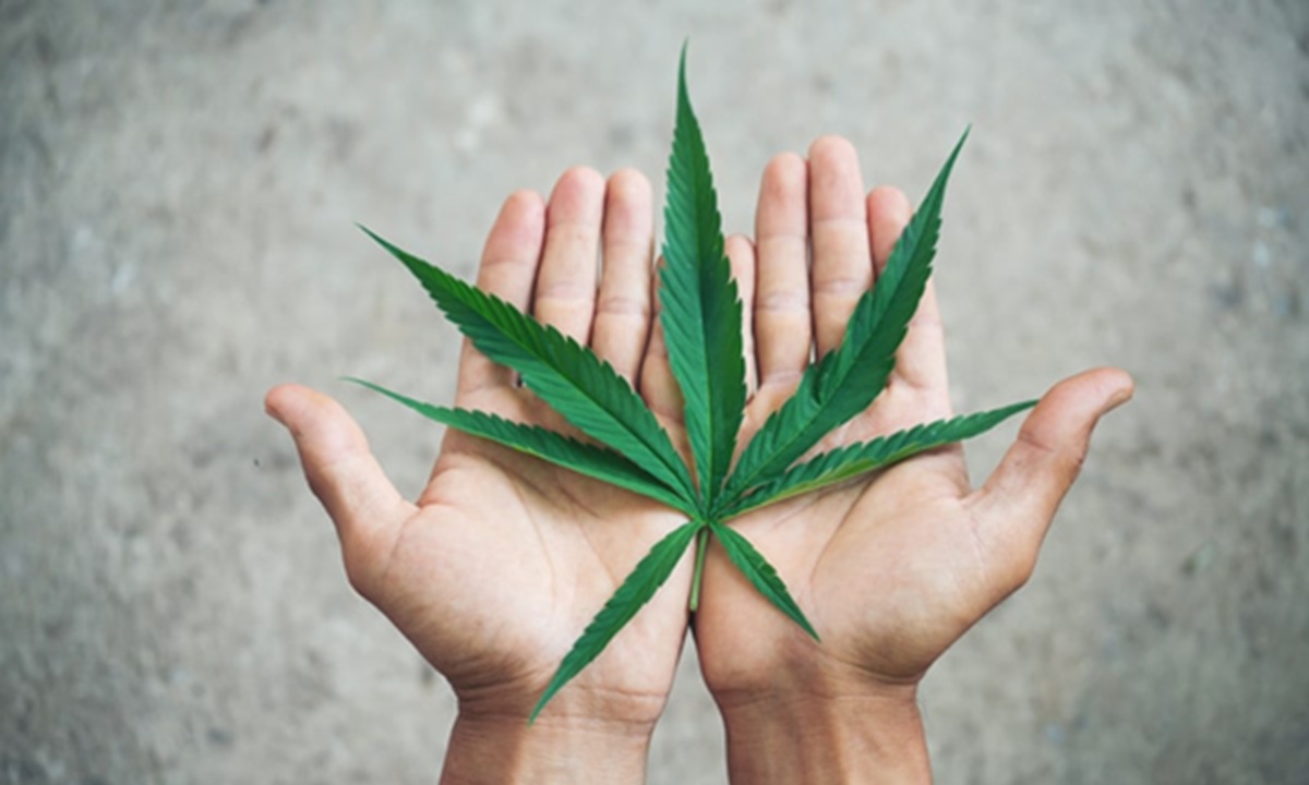 Salvador cria programa de capacitação em cannabis medicinal para profissionais de saúde