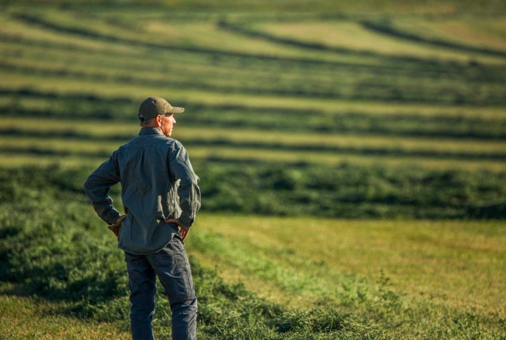 Seguro rural cobre menos de 4% da área plantada e aumenta riscos no agro brasileiro