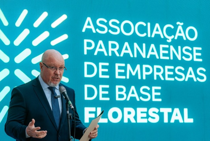 Setor florestal brasileiro avalia impactos de nova tarifa dos EUA sobre madeira