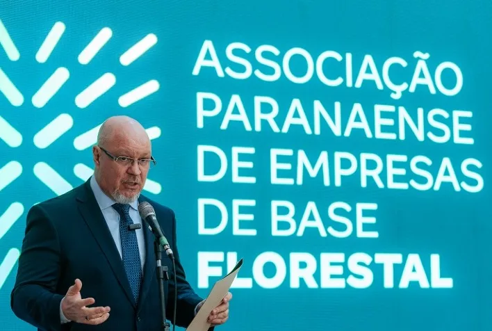 Setor florestal brasileiro avalia impactos de nova tarifa dos EUA sobre madeira