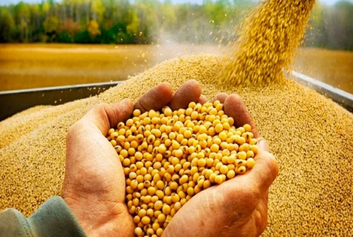 Soja atinge novos patamares em Chicago e impulsiona preços no Brasil acima de R$ 150 por saca