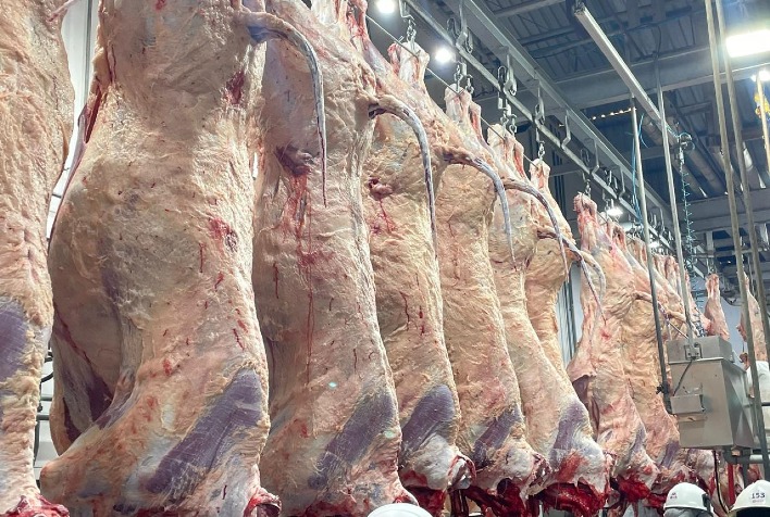 Tarifa chinesa reduz operações de frigoríficos e ameaça exportações de carne bovina do Brasil