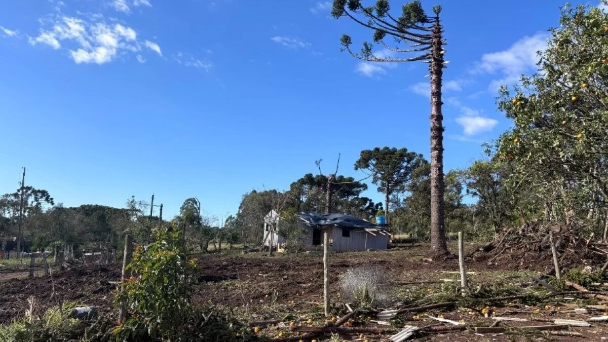 Tornado de 200 km/h causa danos em Reserva, no Paraná, e deixa 10 desalojados