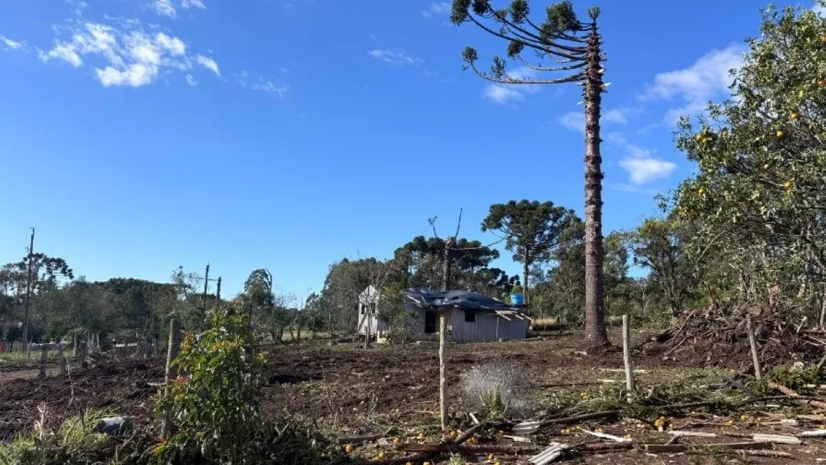 Tornado de 200 km/h causa danos em Reserva, no Paraná, e deixa 10 desalojados
