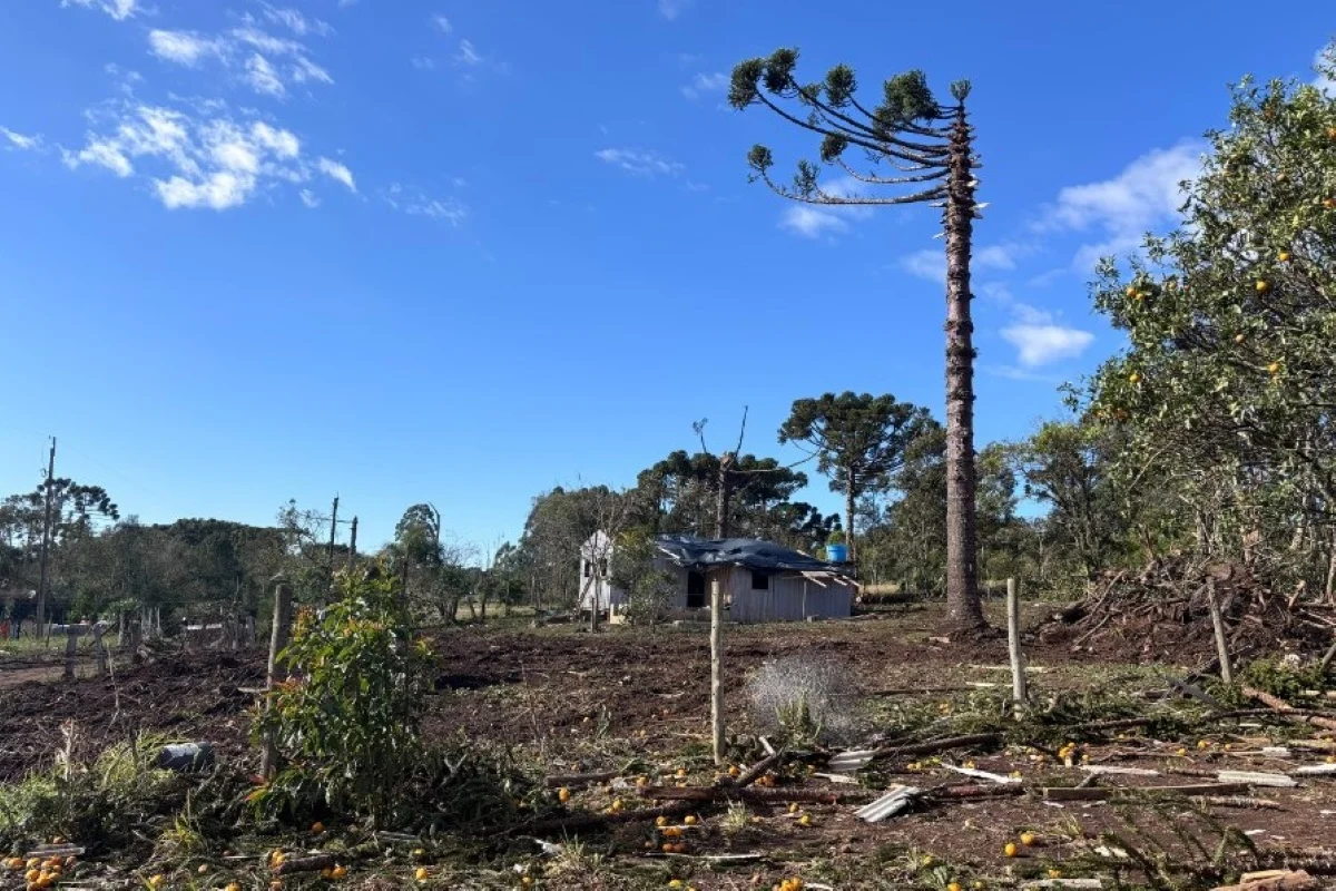 Tornado de 200 km/h causa danos em Reserva, no Paraná, e deixa 10 desalojados