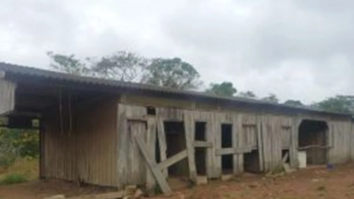 Trabalhador rural é resgatado em Altamira após viver em condições análogas à escravidão