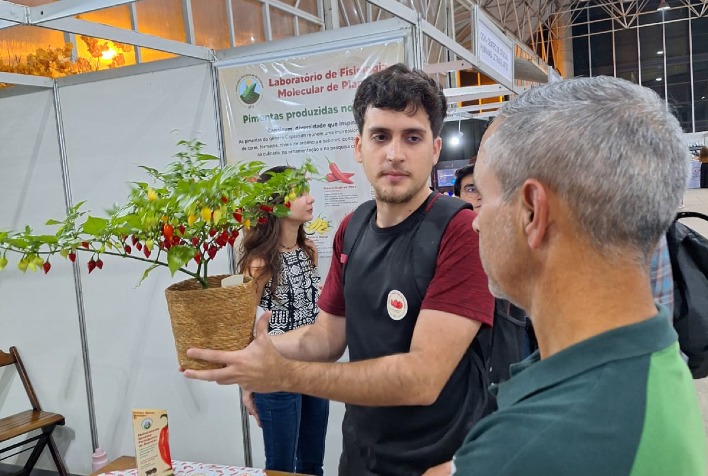 UFV destaca melhoramento genético de pimentas na 96ª Semana do Fazendeiro 2026