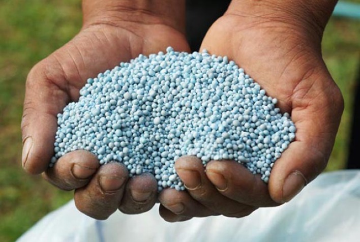 União Europeia aumenta incentivos para agricultura sustentável e reduz uso de fertilizantes