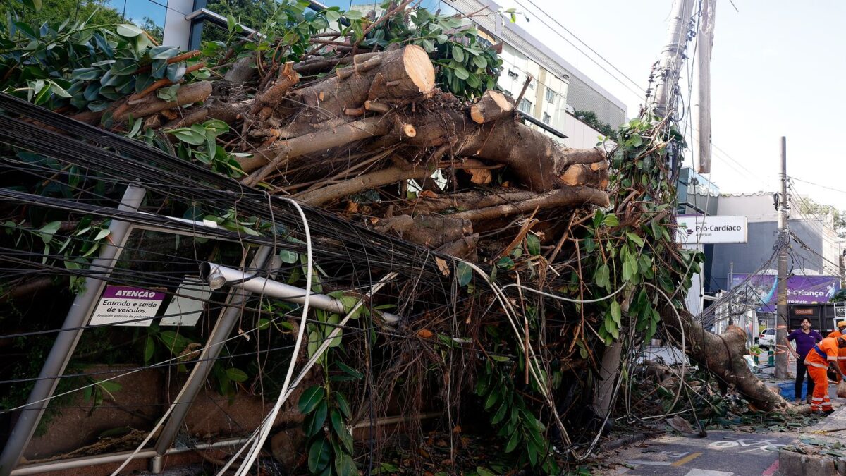 Ventania em SP, RJ e RS revela fragilidades na gestão de crises climáticas