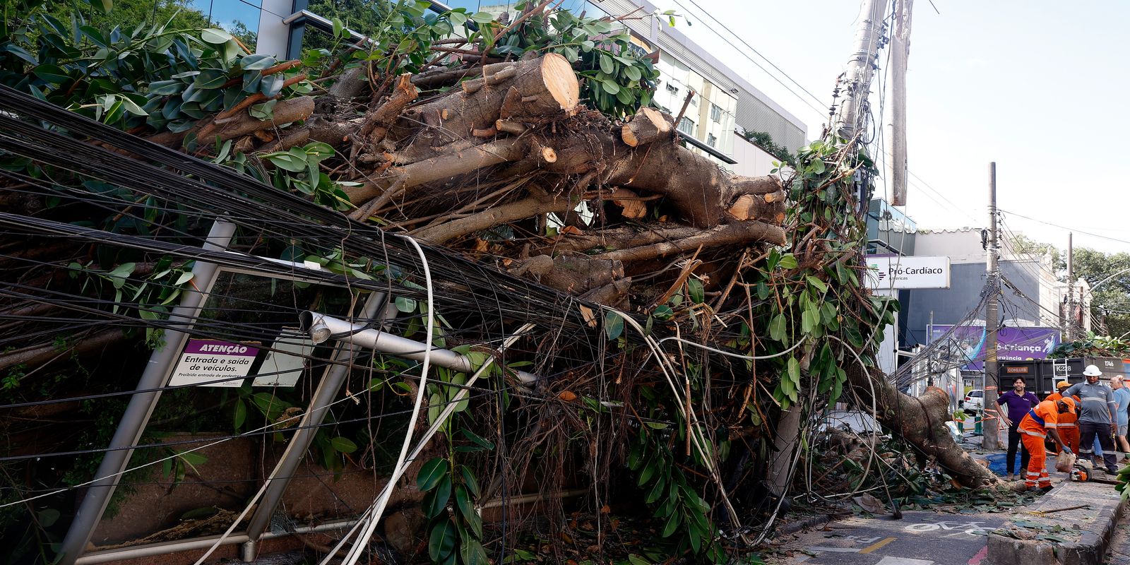 Ventania em SP, RJ e RS revela fragilidades na gestão de crises climáticas